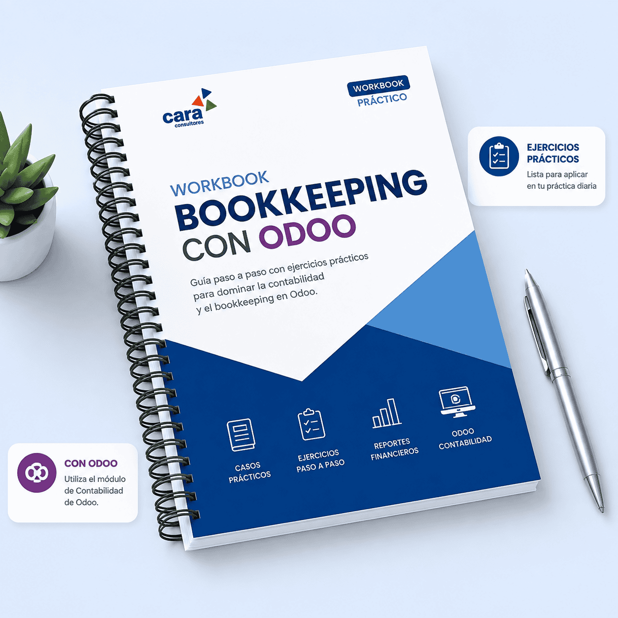 Workbook Bookkeeping
