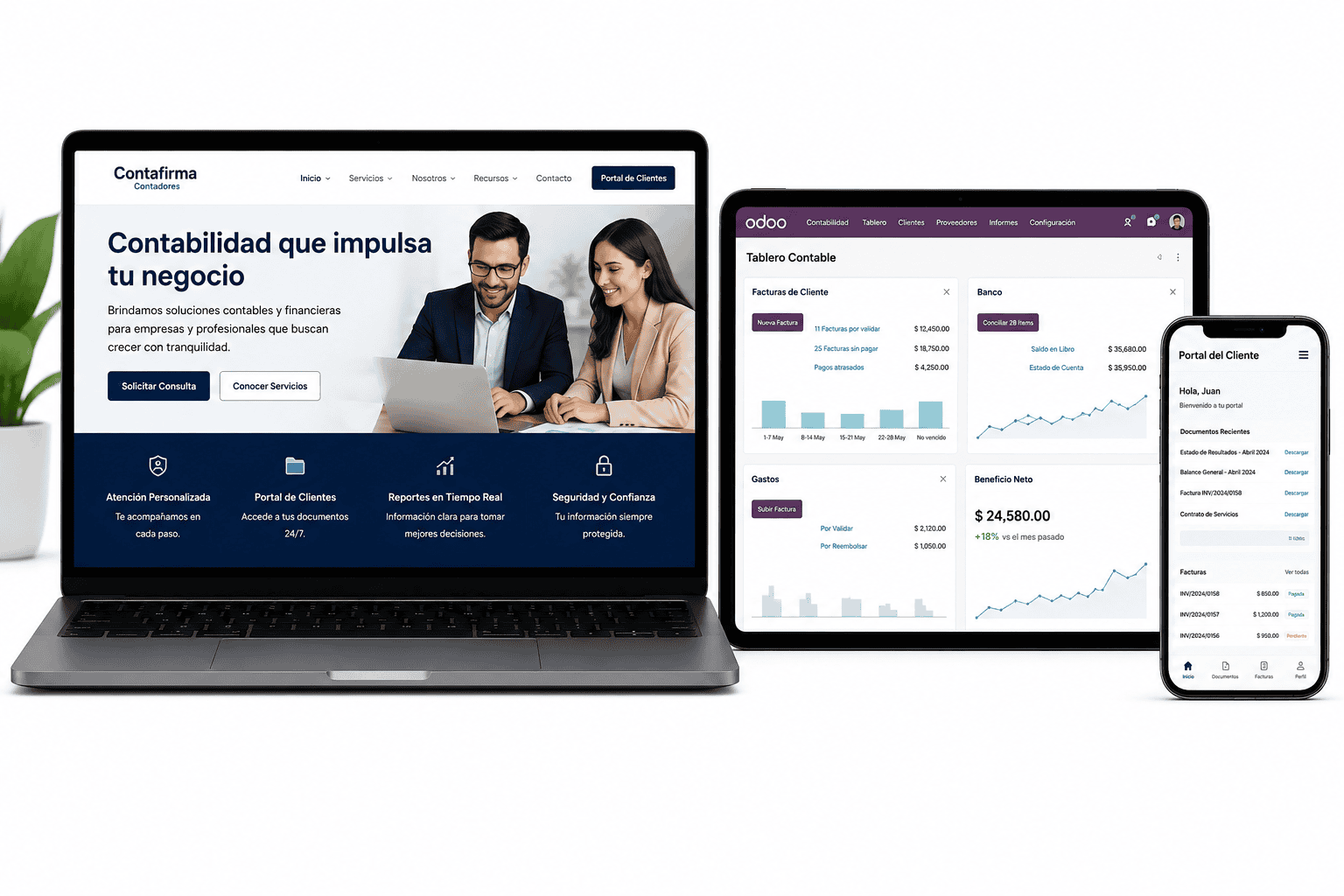 Portal del Contador con Odoo